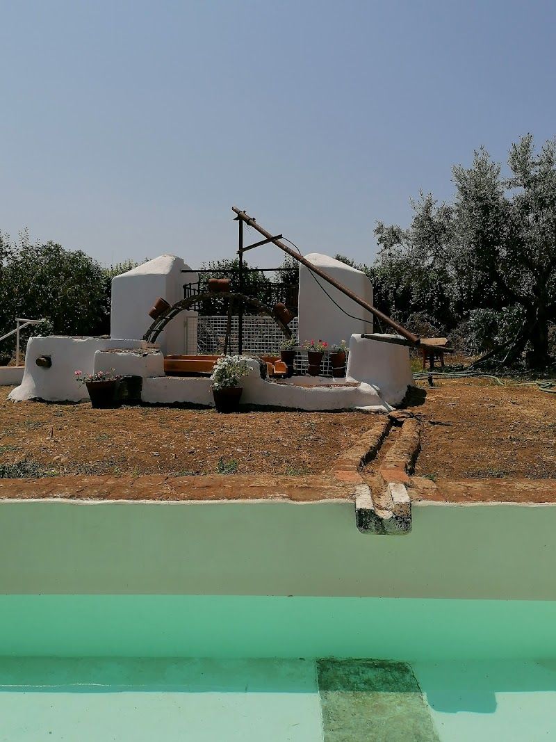 Alojamento local · AL 167738 em Serpa
