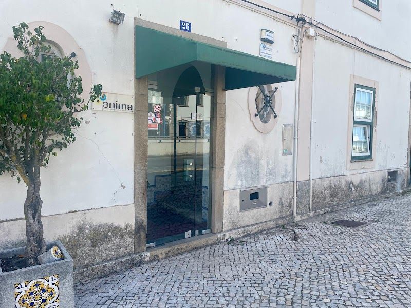 Ânima em Santa Maria da Feira