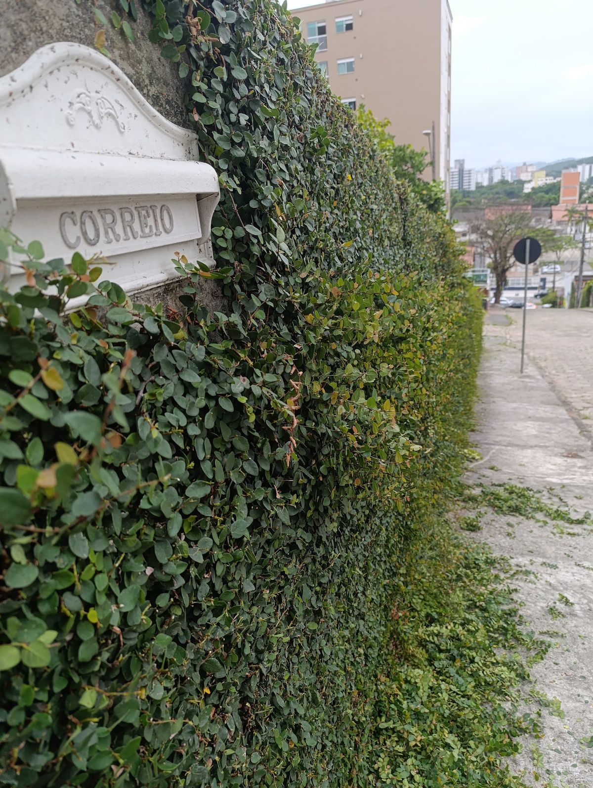 Blu Hostel em Blumenau