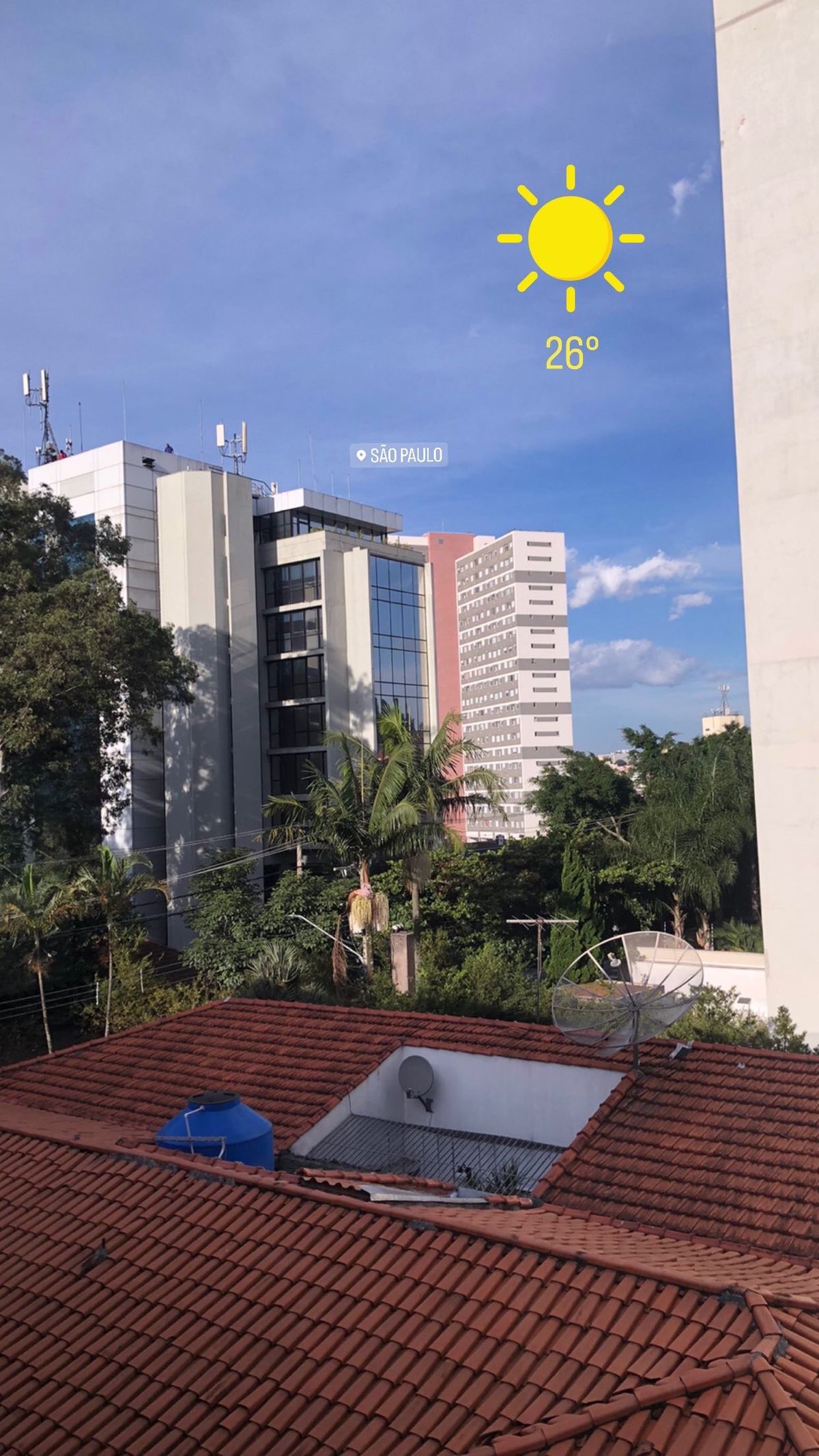 Goatica em São Paulo