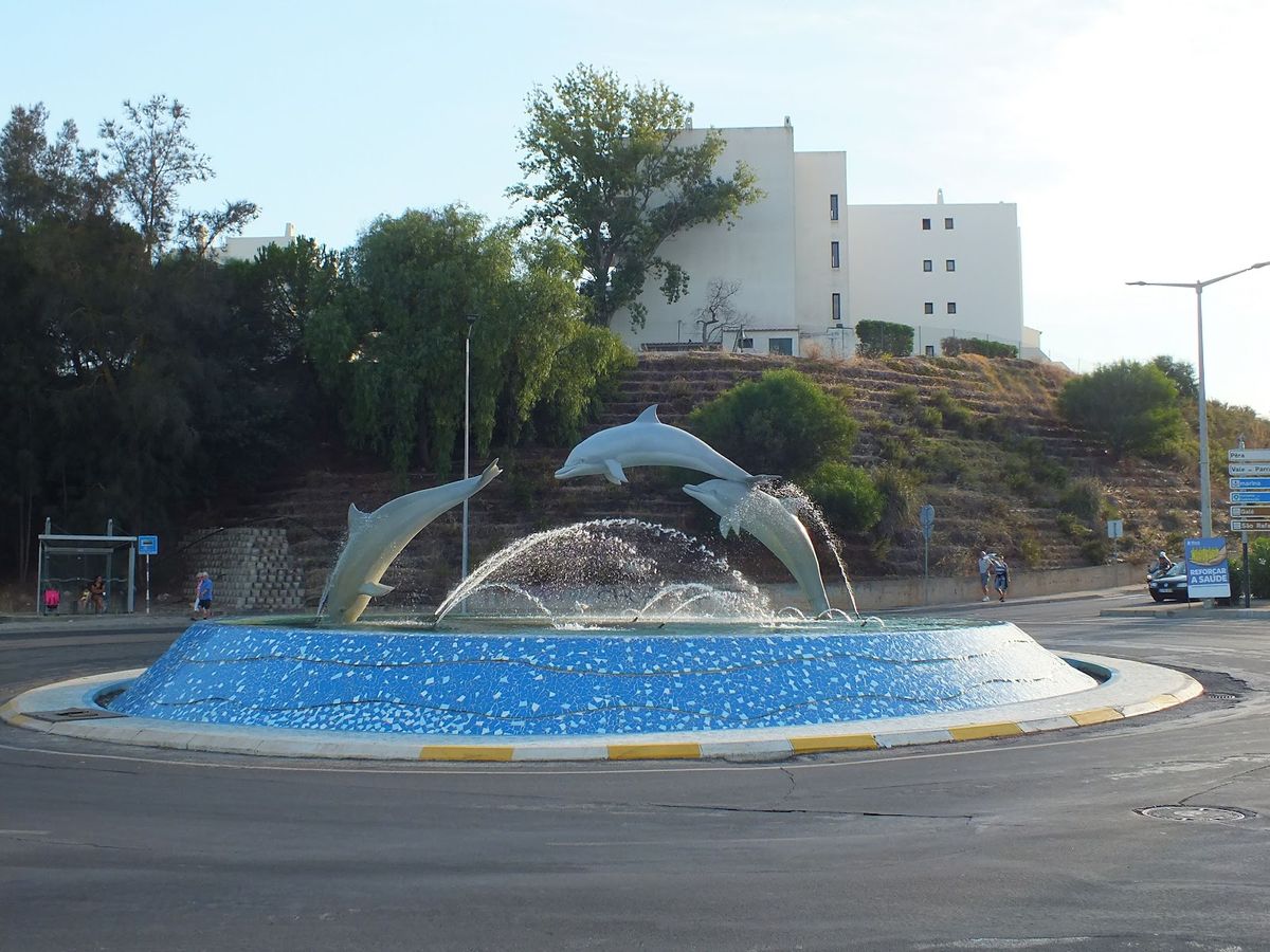 Golfinho em Loulé