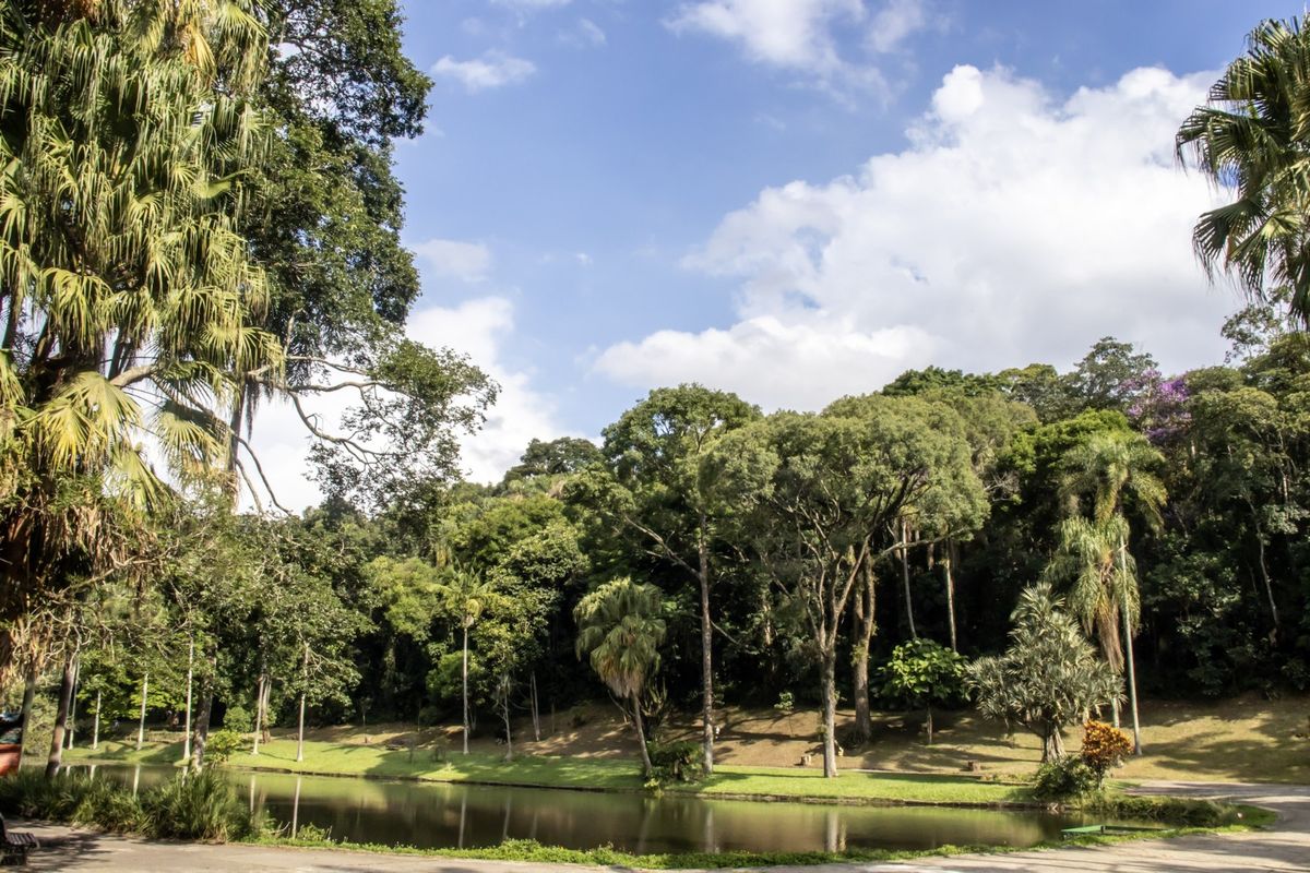 Jardim Traipu em São Paulo